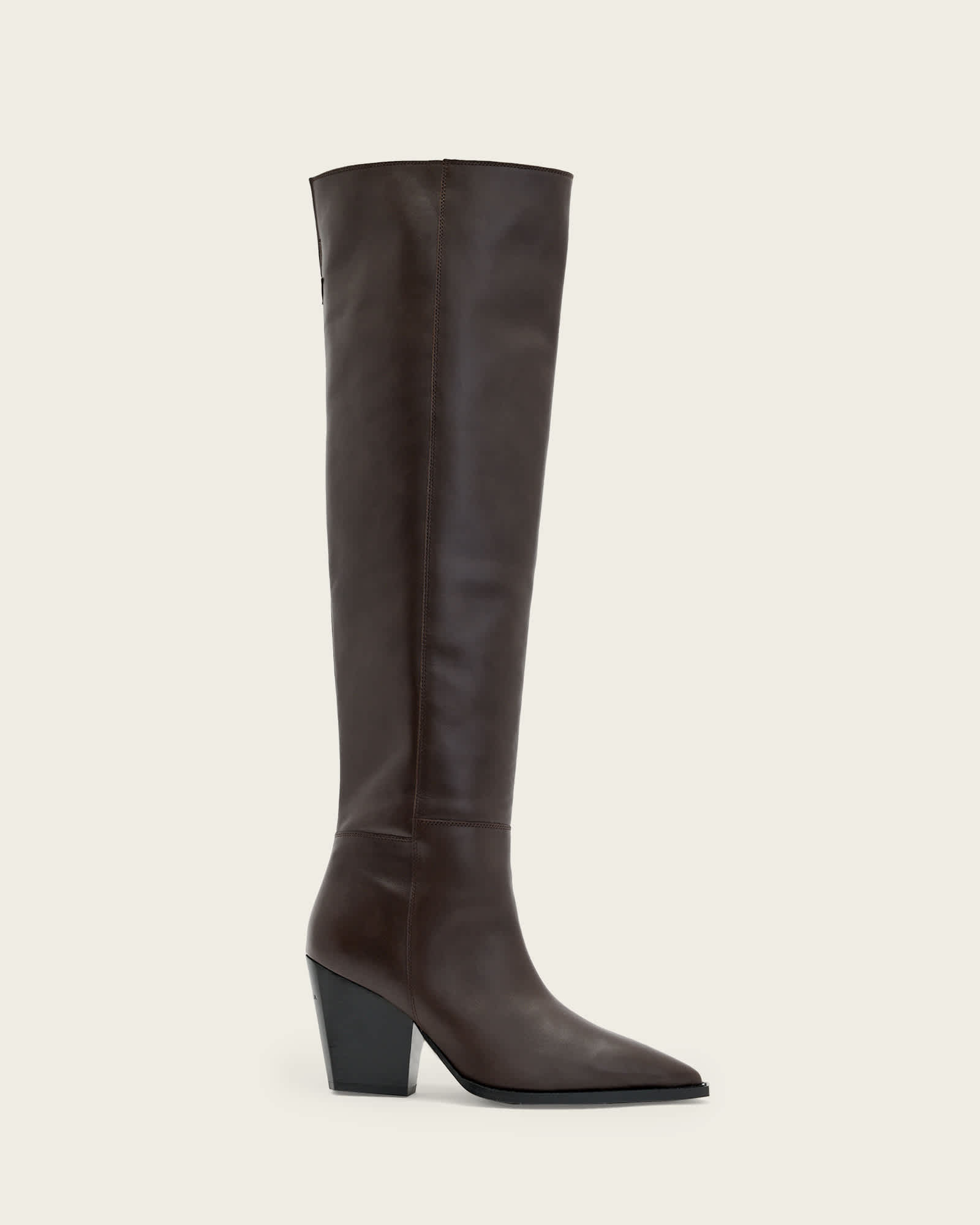 Reina Leather Zip Boots Brown | ALLSAINTS US