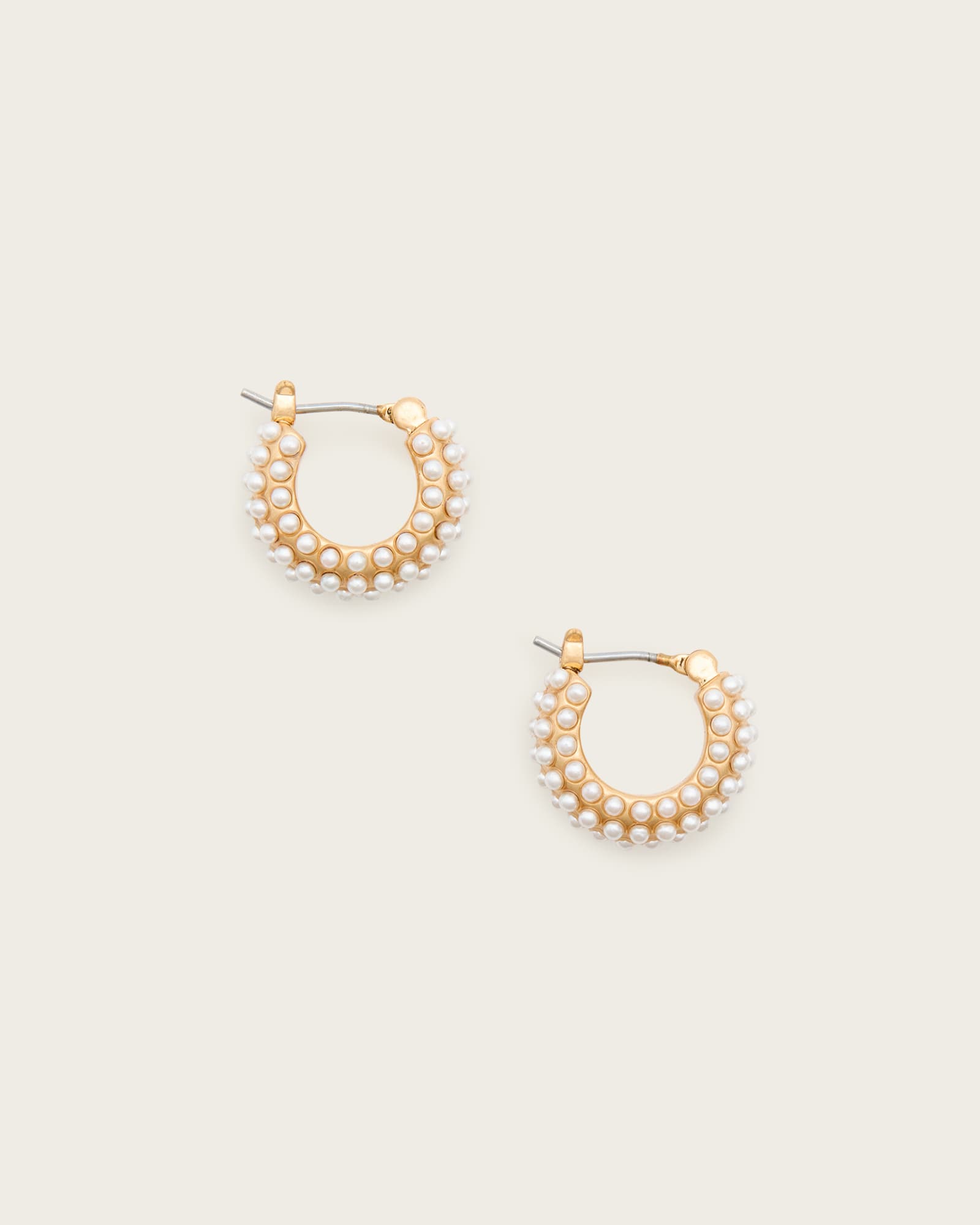 Dimi Pave Mini Hoop Earrings WHITE/WARM BRASS | ALLSAINTS US