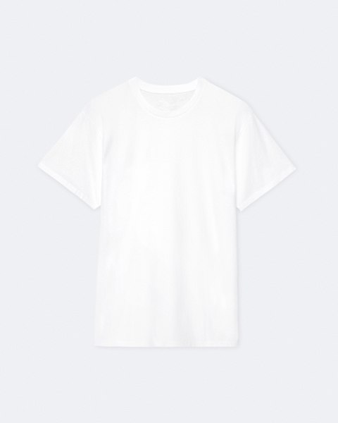 Hale Band-Fit Regular T-Shirt