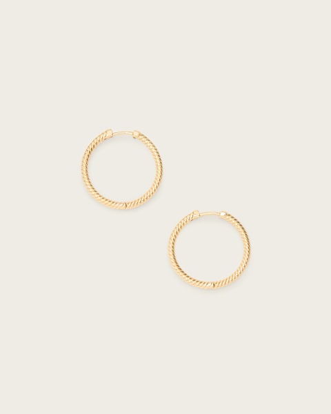 Image for Beck Small Hoop Earrings