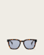 Phoenix Square Shaped Sunglasses