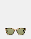 Valensi Panto Shape Sunglasses