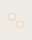 Beck Small Hoop Earrings