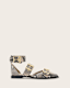 Sutton Leather Pointed Toe Shoes