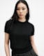 Bern Crew Neck Merino Wool T-Shirt