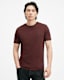 Brace Brushed Cotton T-Shirts 3 Pack
