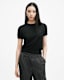 Bern Crew Neck Merino Wool T-Shirt