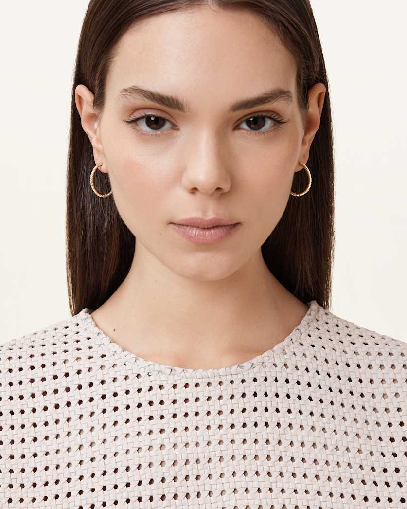 Beck Small Hoop Earrings