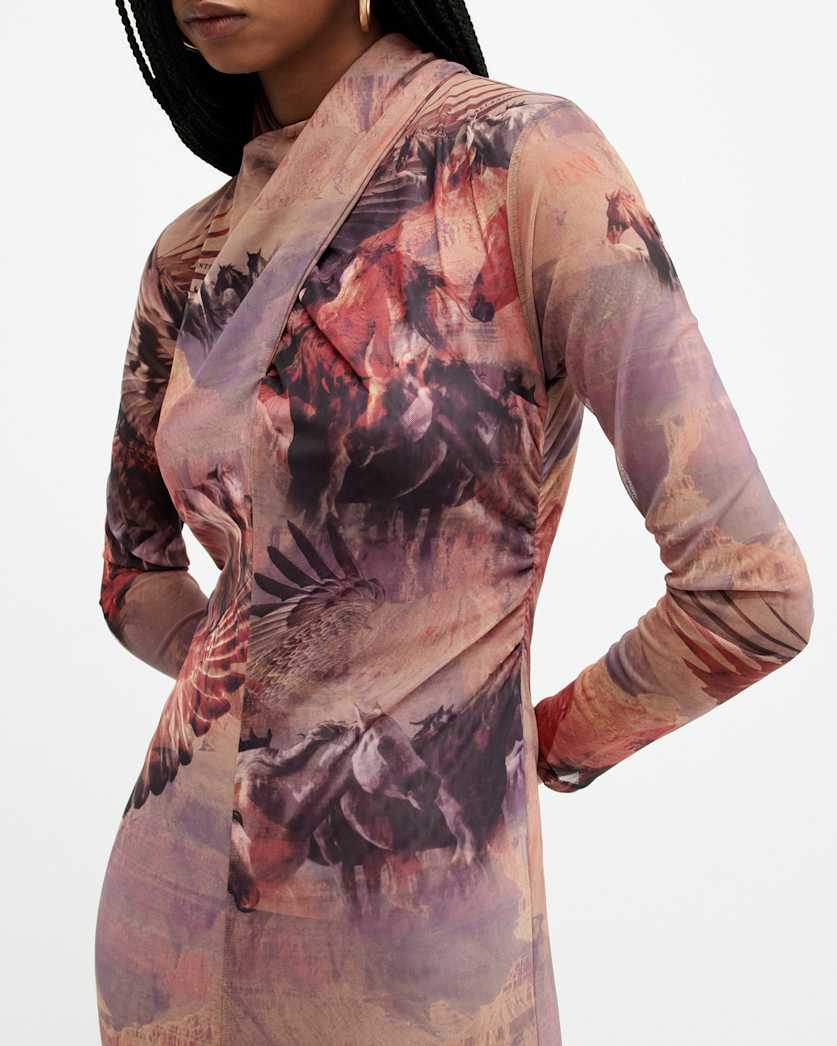 Tia Colca Mesh Printed Midi Dress