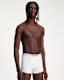Wren Boxers 3 Pack