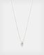 Shark Tooth Sterling Silver Pendant Necklace