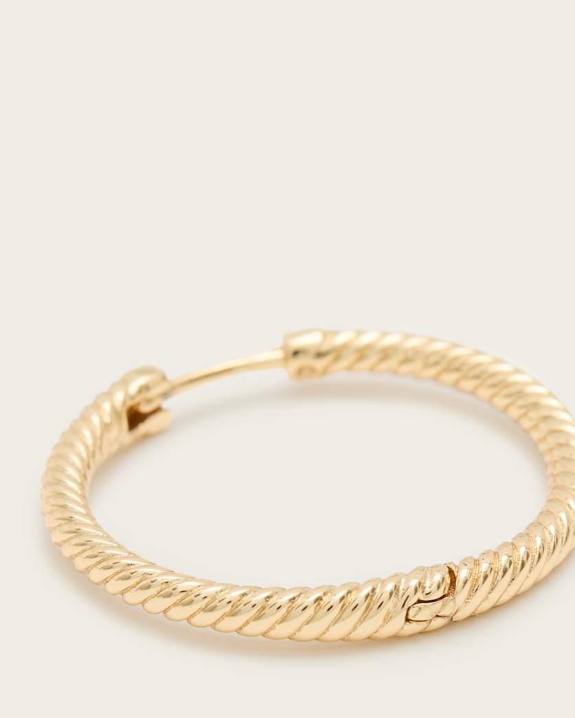 Beck Small Hoop Earrings