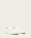 Biggy Low Top Canvas Trainers