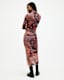 Tia Colca Mesh Printed Midi Dress