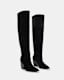 Reina Knee High Pointed Suede Boots