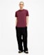Brace Brushed Cotton T-Shirts 3 Pack