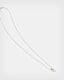 Shark Tooth Sterling Silver Pendant Necklace