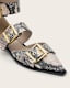 Sutton Leather Pointed Toe Shoes