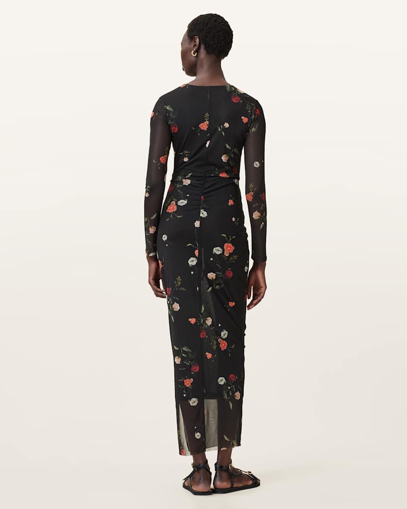 Kathy Print Mesh Maxi Dress