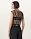 Calytrix Sparkle Top