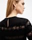 Tiff Lace Panelled Sheer Top