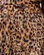 Charli Leopard Print Shorts