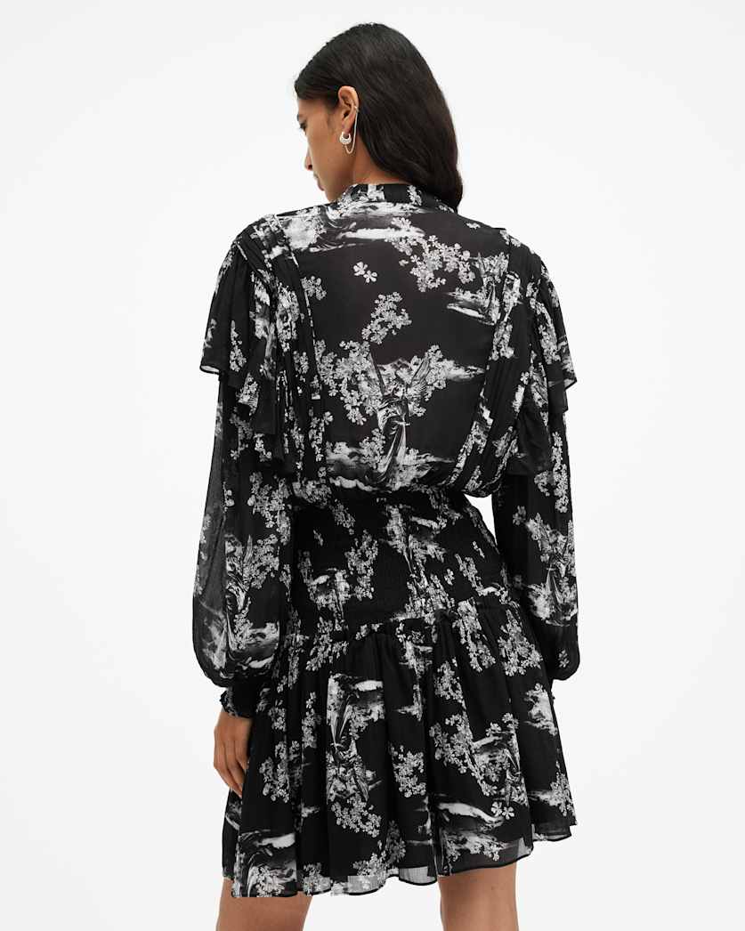 Aubrey Sheer Frill Mini Dress