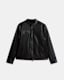 Jade Tab Collar Leather Jacket