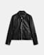 Erol Zip Up Leather Jacket