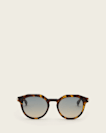 Van Panto Framed Sunglasses