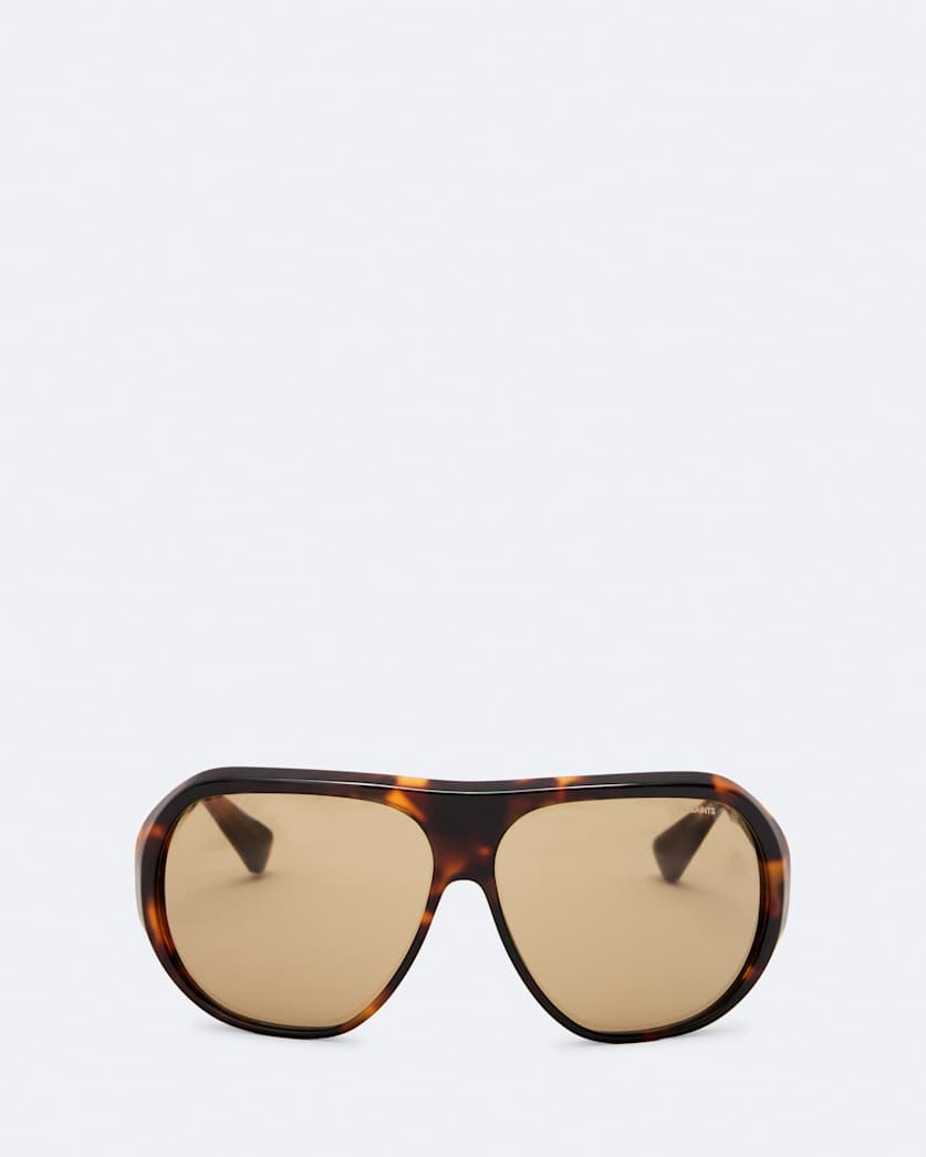 Aviator combination sunglasses
