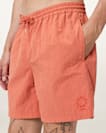 Haven Swim Shorts