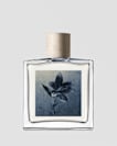 Concrete Rain Unisex Fragrance, 100m