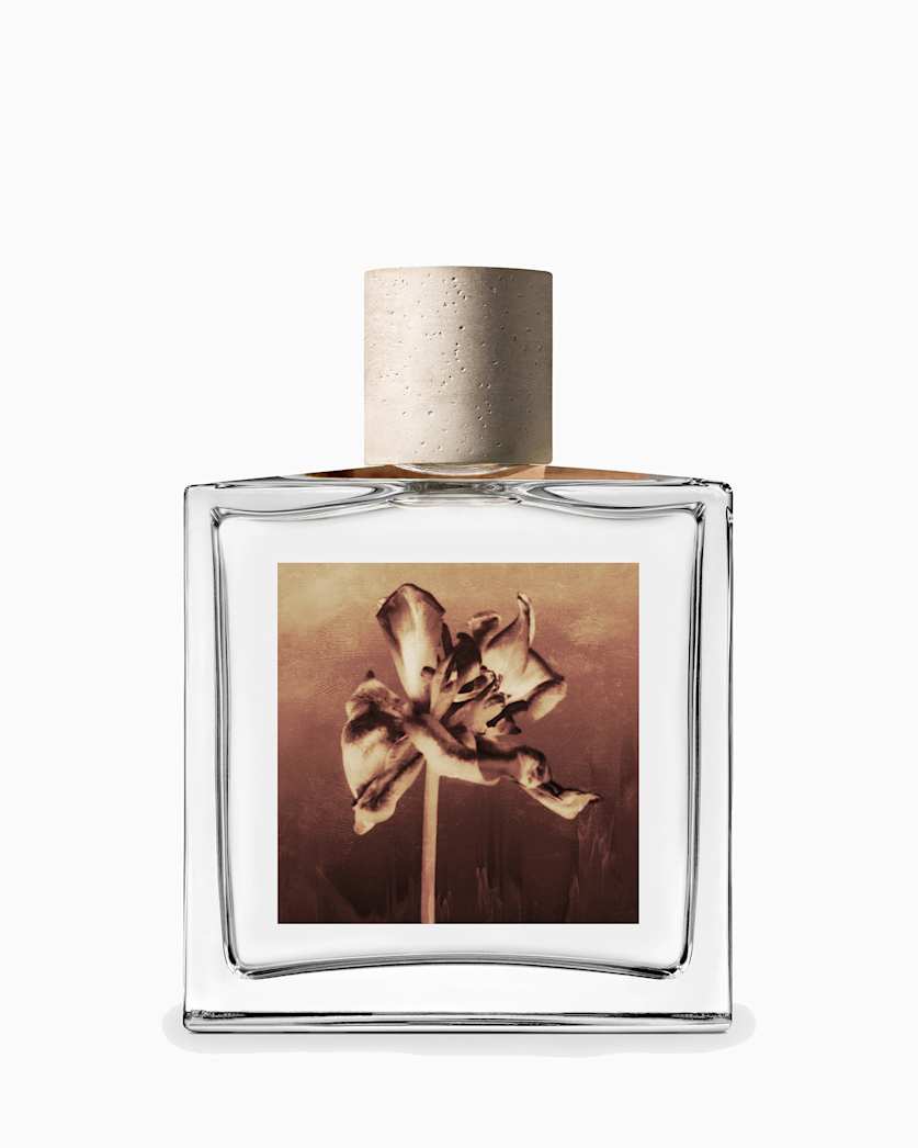 Sunset Riot Unisex Fragrance, 100ml