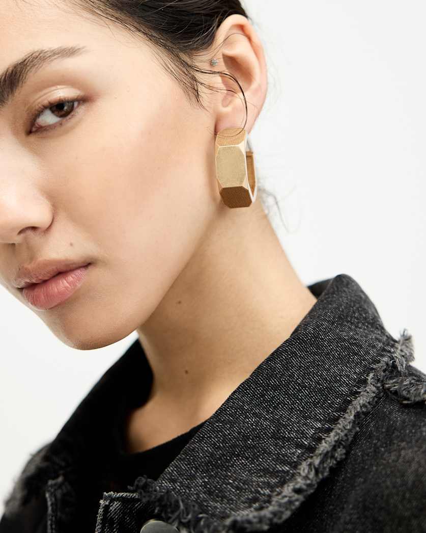Alex Chunky Hexagon Hoop Earrings