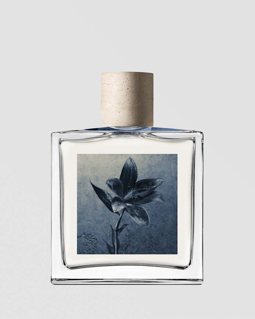 Concrete Rain, 100ml