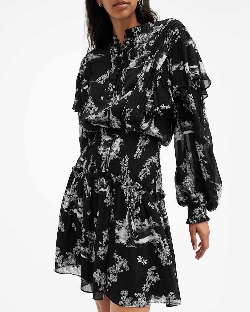 Aubrey Sheer Frill Mini Dress