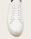 Saint Leather Low Top Trainers