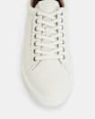 Brody Leather Low Top Trainers