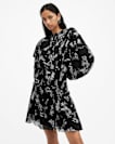 Aubrey Sheer Frill Mini Dress