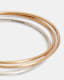 Sierra Two Tone Bangle Set
