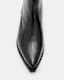 Bazely Pointed Toe Leather Boots
