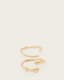 Serpent Textured Ring Set