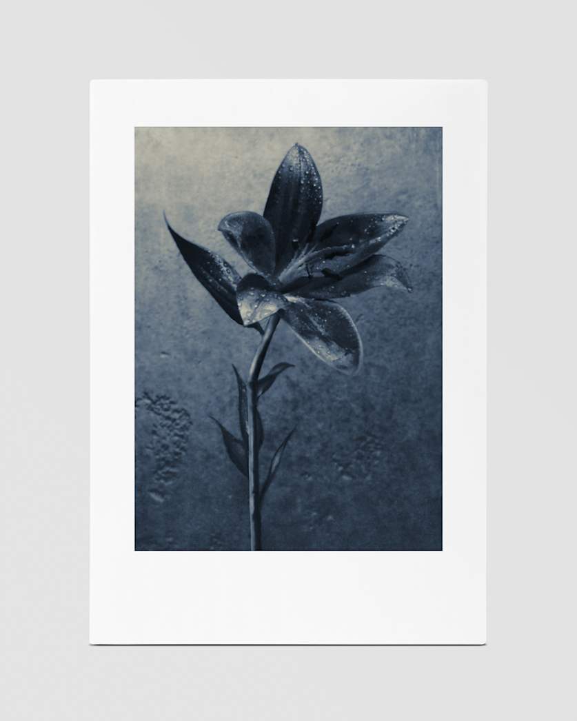 Concrete Rain, 100ml