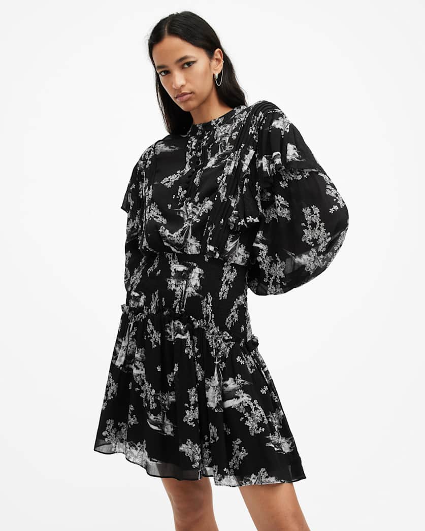 Aubrey Sheer Frill Mini Dress