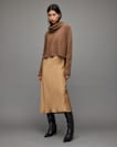Tierny 2-In-1 Roll Neck Dress