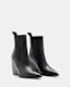 Ria Pointed Toe Leather Boots
