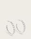 Gia Crystal Hoop Earrings