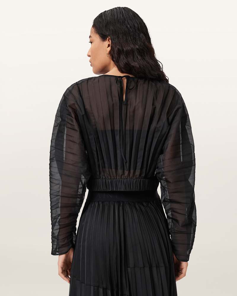 Micaela Pleated Sheer Top