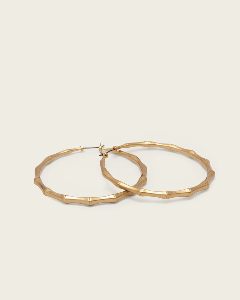 Clara Large Hoop Earrings